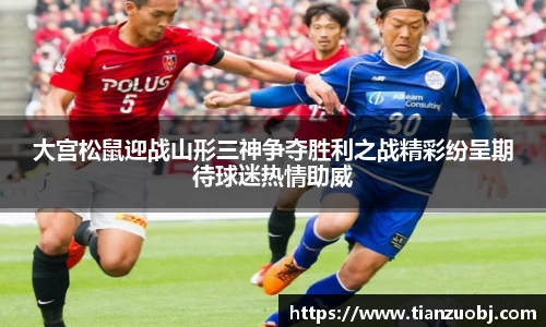 星空·综合体育官方网站