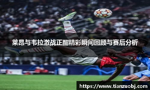 星空·综合体育官方网站